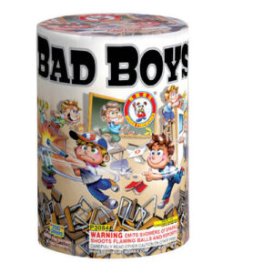 Bad Boys P3084