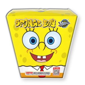 Sponge Boy M369