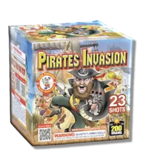 Pirate Invasion 200 gram Cake