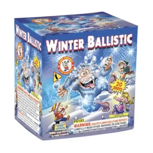 Winter Ballistics 20s